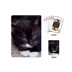 Kitty In A Corner Playing Cards (mini)  by trendistuff