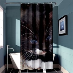 Kitty In A Corner Shower Curtain 36  X 72  (stall) 