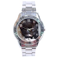 Kitty In A Corner Stainless Steel Men s Watch by trendistuff