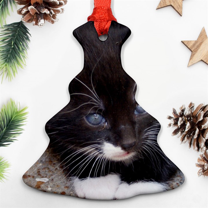 KITTY IN A CORNER Ornament (Christmas Tree)