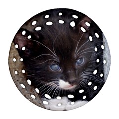 Kitty In A Corner Round Filigree Ornament (2side)