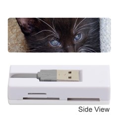 Kitty In A Corner Memory Card Reader (stick) 