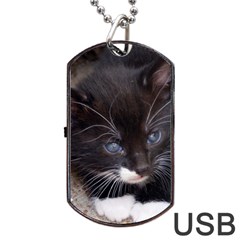 Kitty In A Corner Dog Tag Usb Flash (one Side) by trendistuff