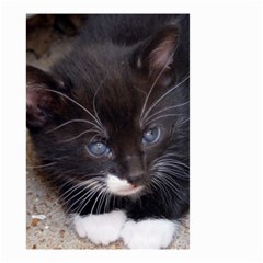 Kitty In A Corner Small Garden Flag (two Sides)