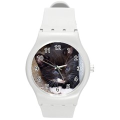 Kitty In A Corner Round Plastic Sport Watch (m) by trendistuff