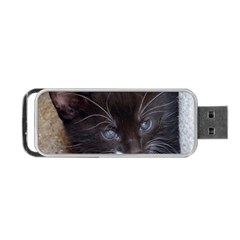 Kitty In A Corner Portable Usb Flash (one Side) by trendistuff