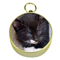 Kitty In A Corner Gold Compasses