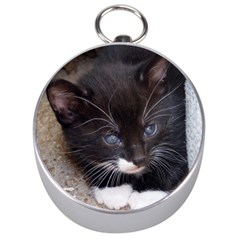 Kitty In A Corner Silver Compasses by trendistuff