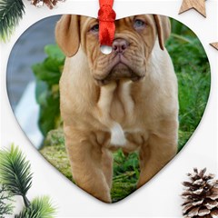 Cute Wrinkly Puppy Ornament (heart)  by trendistuff