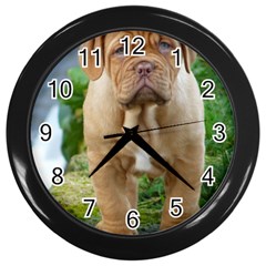 Cute Wrinkly Puppy Wall Clocks (black) by trendistuff