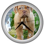 CUTE WRINKLY PUPPY Wall Clocks (Silver)  Front