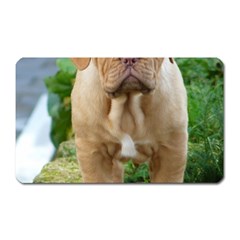 Cute Wrinkly Puppy Magnet (rectangular) by trendistuff