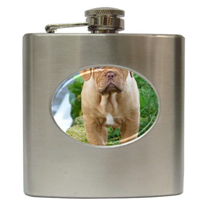 CUTE WRINKLY PUPPY Hip Flask (6 oz)