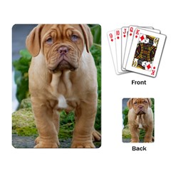 Cute Wrinkly Puppy Playing Card by trendistuff