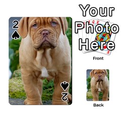 Cute Wrinkly Puppy Playing Cards 54 Designs  by trendistuff