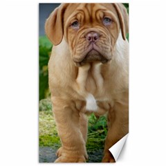 Cute Wrinkly Puppy Canvas 40  X 72  