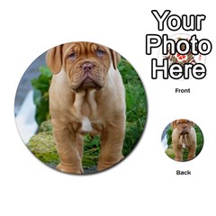 Cute Wrinkly Puppy Multi-purpose Cards (round)  by trendistuff