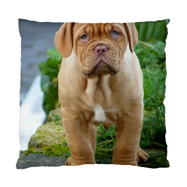 CUTE WRINKLY PUPPY Standard Cushion Cases (Two Sides) 