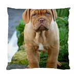 CUTE WRINKLY PUPPY Standard Cushion Cases (Two Sides)  Back