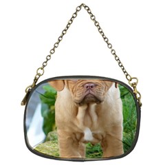 Cute Wrinkly Puppy Chain Purses (two Sides)  by trendistuff