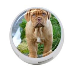 Cute Wrinkly Puppy 4-port Usb Hub (two Sides)  by trendistuff