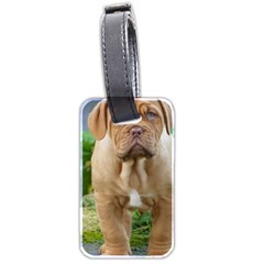 Cute Wrinkly Puppy Luggage Tags (two Sides) by trendistuff