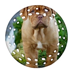 Cute Wrinkly Puppy Round Filigree Ornament (2side)