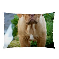 Cute Wrinkly Puppy Pillow Cases (two Sides)