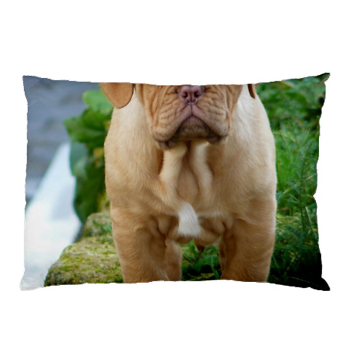 CUTE WRINKLY PUPPY Pillow Cases (Two Sides)