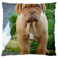 Cute Wrinkly Puppy Large Cushion Cases (one Side)  by trendistuff