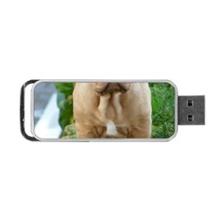 Cute Wrinkly Puppy Portable Usb Flash (one Side) by trendistuff