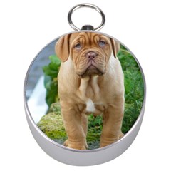 Cute Wrinkly Puppy Silver Compasses