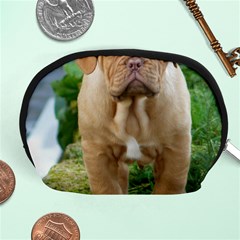 Cute Wrinkly Puppy Accessory Pouches (medium) 