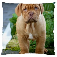 Cute Wrinkly Puppy Standard Flano Cushion Cases (one Side) 