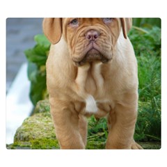 Cute Wrinkly Puppy Double Sided Flano Blanket (small) 