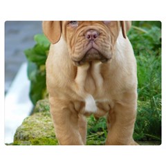 Cute Wrinkly Puppy Double Sided Flano Blanket (medium) 