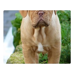 Cute Wrinkly Puppy Double Sided Flano Blanket (large) 