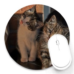 Cute Kitties Round Mousepads by trendistuff