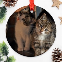 Cute Kitties Ornament (round)  by trendistuff