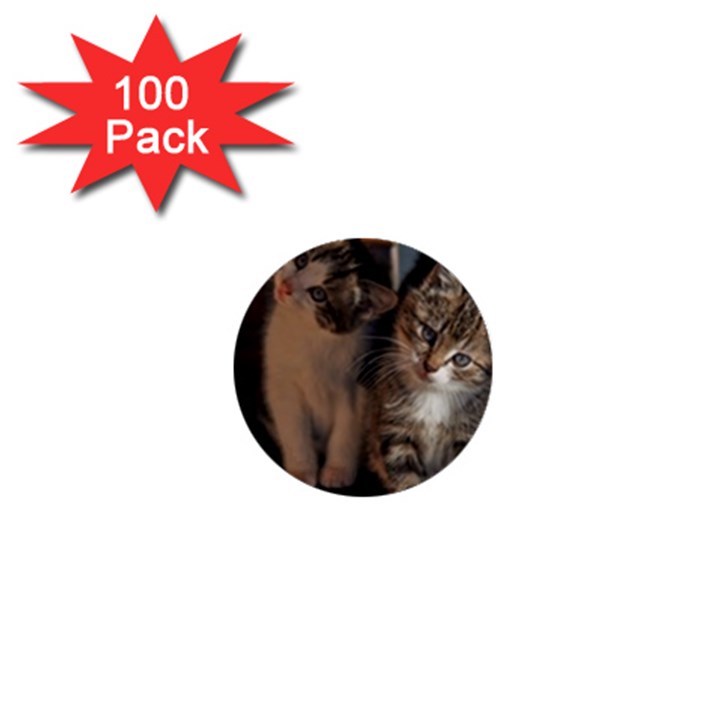 CUTE KITTIES 1  Mini Buttons (100 pack) 