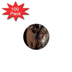 Cute Kitties 1  Mini Magnets (100 Pack)  by trendistuff