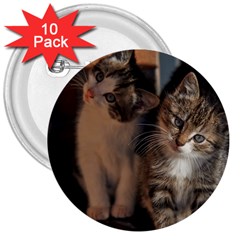 Cute Kitties 3  Buttons (10 Pack)  by trendistuff