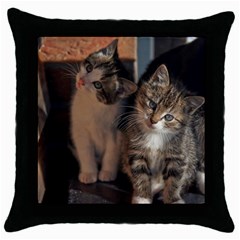 Cute Kitties Throw Pillow Cases (black) by trendistuff