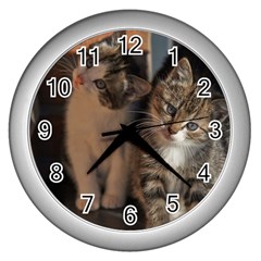 Cute Kitties Wall Clocks (silver)  by trendistuff