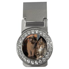 Cute Kitties Money Clips (cz)  by trendistuff