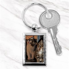 Cute Kitties Key Chains (rectangle)  by trendistuff