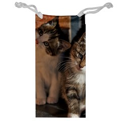 Cute Kitties Jewelry Bags by trendistuff