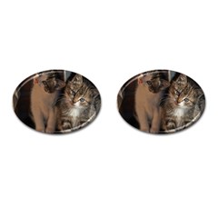 Cute Kitties Cufflinks (oval) by trendistuff