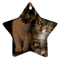 Cute Kitties Star Ornament (two Sides)  by trendistuff