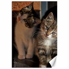 Cute Kitties Canvas 12  X 18  